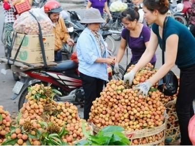 Tiêu thụ nông sản nâng cao hơn nữa sự liên kết bốn nhà