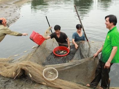 Nơi nhà nông gửi gắm niềm tin