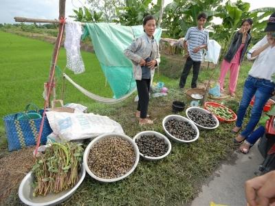 Cua, ốc hút hàng