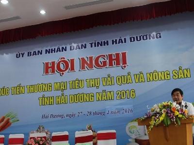 Nóng dần chuyện đầu ra quả vải thiều 2016