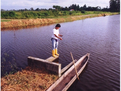 The importance of water analysis in aquaculture