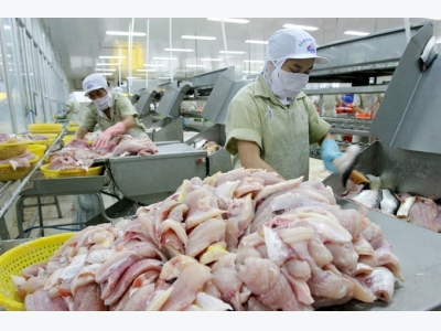 VN catfish exporters gear up for US inspections