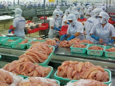 Vietnamese tra fish exporters oppose unfair US duties on fish fillets