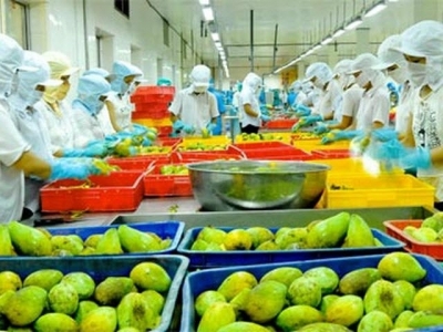 Agriculture sector earns nearly US$9 billion from exports