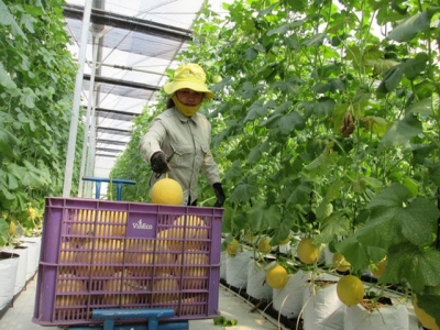 Hi-tech farming: new target for corporations