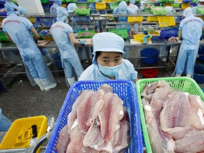 Vietnam petitions US to re-evaluate catfish import restrictions