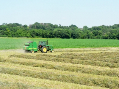 Tra Vinh farmers supported in joining large-scale field model