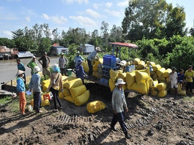 Southern provinces to grow nearly 1.7 million hectares of rice