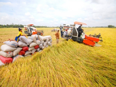 Farm exports plunge, domestic sales stuck