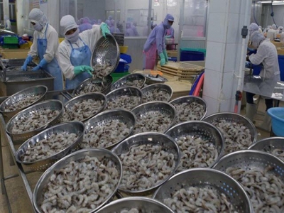 Vietnam aims to earn 4.2 billion USD from shrimp exports