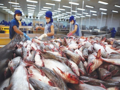 Seafood processor Hùng Vương cuts revenue forecast, returns focus to aquaculture