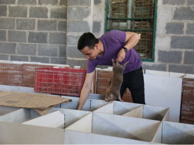 Bamboo rats help farmer escape poverty