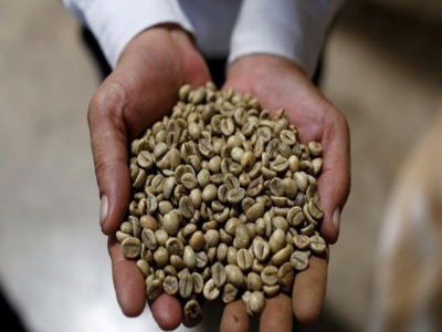 Coronavirus epidemic postpones coffee chain launch