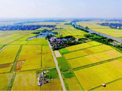 Agricultural land market still an obstacle for enterprises