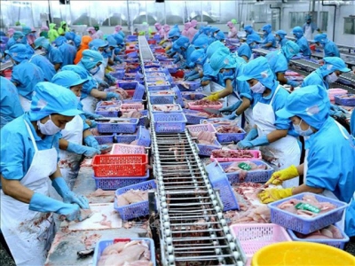 Viet Nam seafood exporters not too worried about COVID - 19