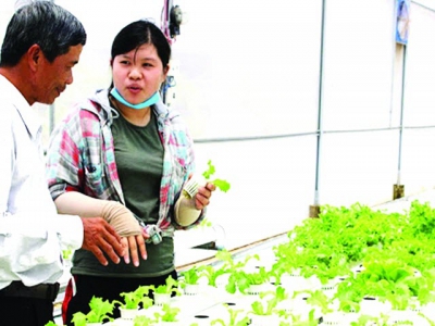 Mekong Delta agriculture: Adding value by applying sci-tech