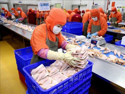 Russia to import Việt Nams processed chicken