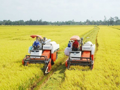 Vietnams agriculture expects a bumper harvest in 2021