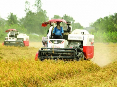 Digital transformation to make Vietnamese agricultural products reach further
