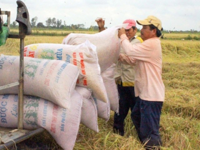 Vietnam urged to increase added value for rice industry