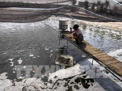 Bac Giang looks to build 130 high-tech intensive aquaculture models