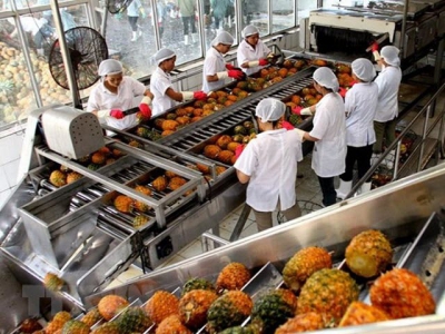 Fruit and vegetable exports see many positive signs in 2021