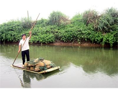 Lập Nghiệp Từ Mô Hình Nuôi Cua