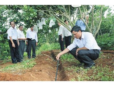 Triển Vọng Từ Mô Hình Tưới Nước Nhỏ Giọt