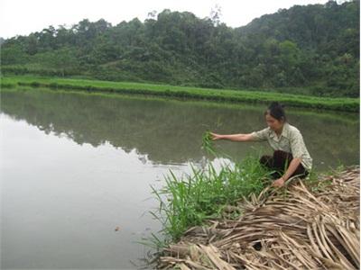 Triển Vọng Nghề Nuôi Thủy Sản Ở Chợ Đồn (Bắc Kạn)