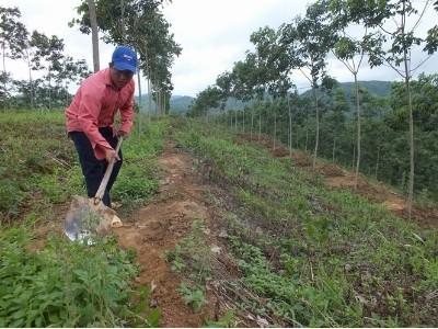 Quyết liệt gỡ điểm nóng trong tái cơ cấu nông nghiệp