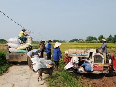 Tạo sức bật cho nông, thủy sản chủ lực vươn ra thế giới