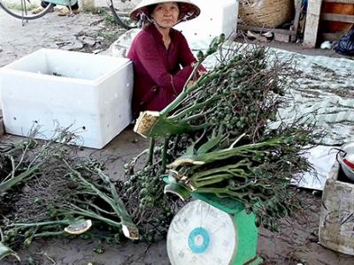 Mua cau bất thường