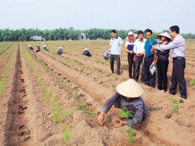 Nông dân hiến kế xây dựng nông thôn mới