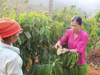 Nữ thủ lĩnh nơi núi rừng