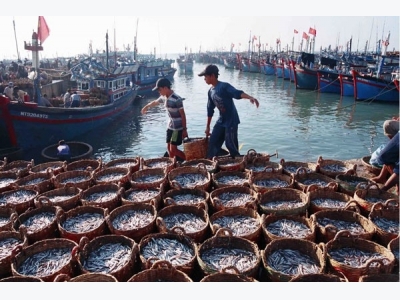 New project targets competitive seafood sector