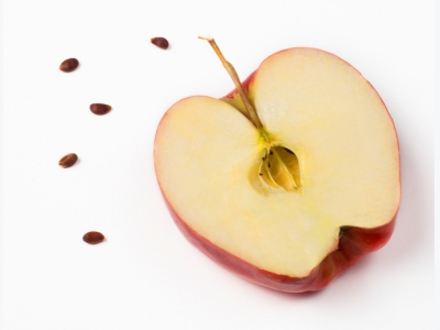 Never Eat The Seeds of Apples. Heres why!