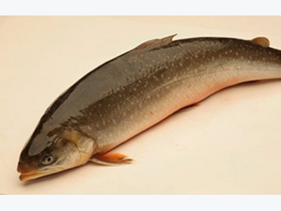 Arctic char and crawfish processors snag BAP certification