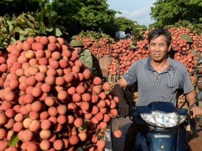 High air freight costs hinder Vietnamese fruit exports