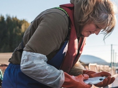 Improved salmon survival, reduced antibiotics for Cermaq