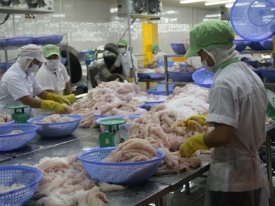 Exports of tra fish earns 438 million USD in three months