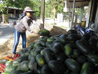 Vietnamese farm produce seeks to reach French customers