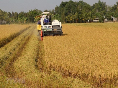 Universities, firms join hands in training high-quality agriculture workforce