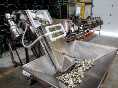 Laser-guided oyster processing system launched