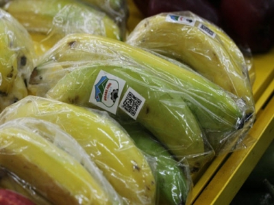 Vietnam agriculture giant wagers on banana