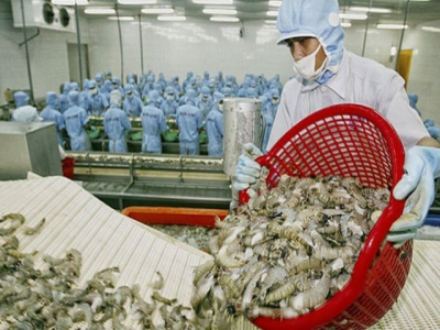 Vietnam is still the largest shrimp supplier of England