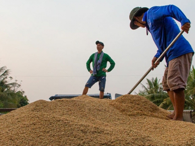 Ministry wants rice export ban lifted