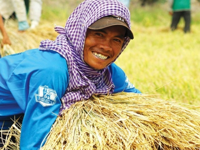 Halting rice exports to stabilise food supplies