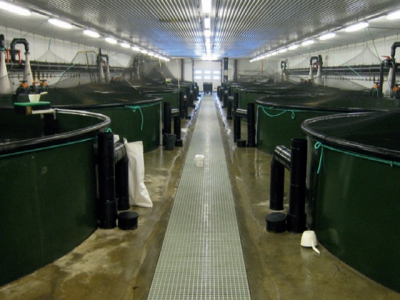 A Guide to Recirculation Aquaculture - Part 1