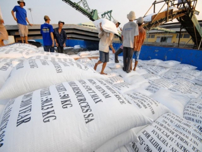 MoIT proposes exporting 400,000 tonnes of rice in April