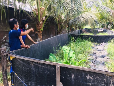 Hiệu quả mô hình hợp tác nuôi lươn